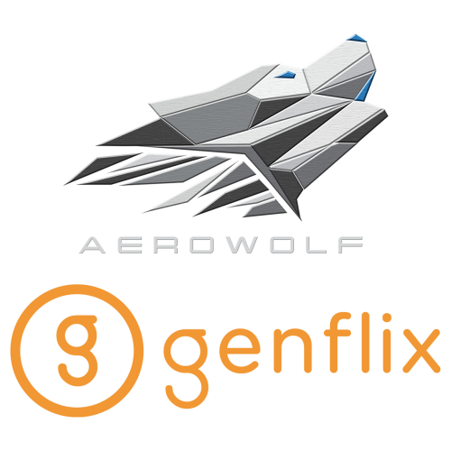 logo-team-GFLX